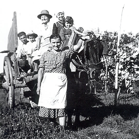 Cantina Vini Cavallotto